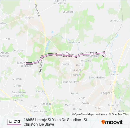 213 Bus Line Map