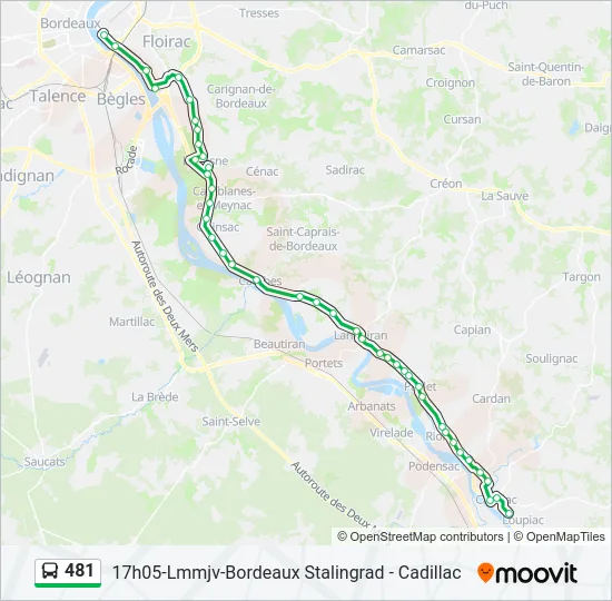 481 Bus Line Map