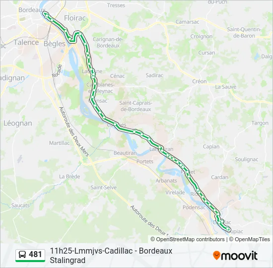 481 Bus Line Map