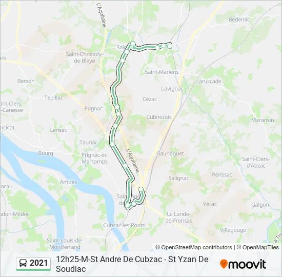 2021 Bus Line Map