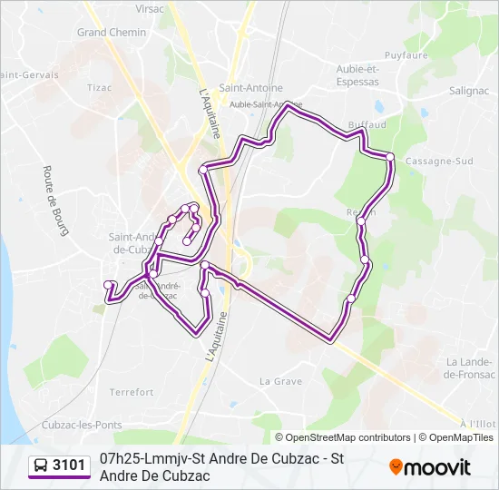 3101 Bus Line Map