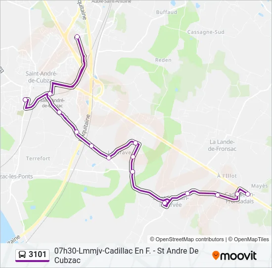 3101 Bus Line Map