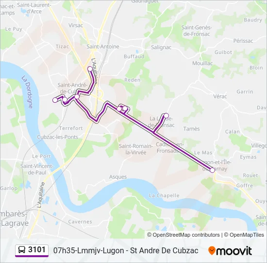 3101 Bus Line Map