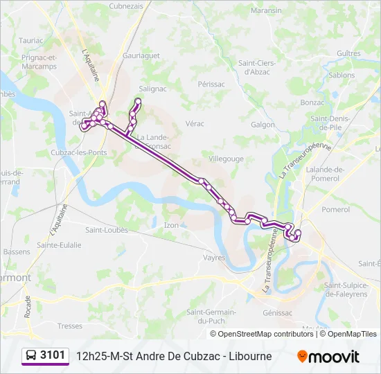3101 Bus Line Map