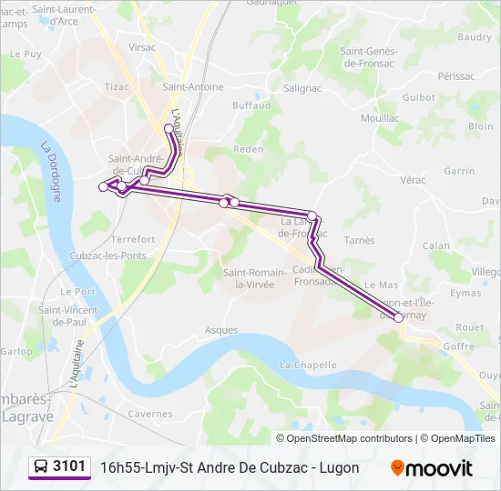 3101 Bus Line Map