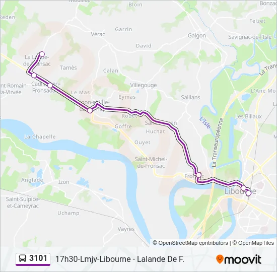 3101 Bus Line Map