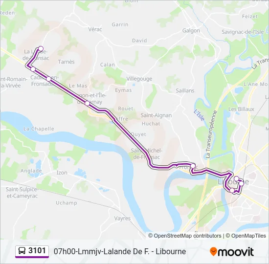 3101 Bus Line Map