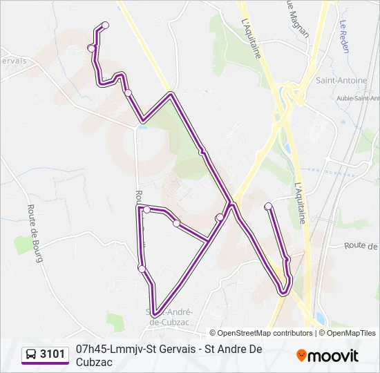 3101 Bus Line Map