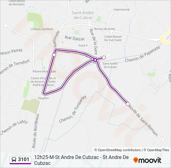 3101 Bus Line Map