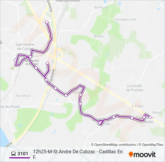 3101 Bus Line Map