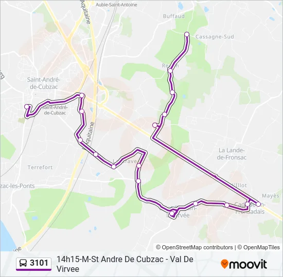 3101 Bus Line Map