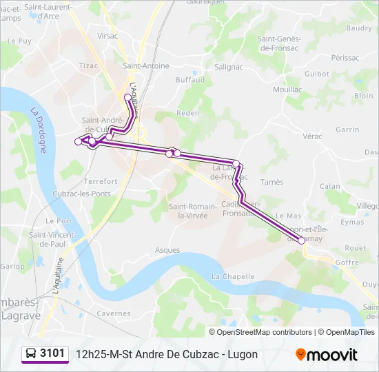 3101 Bus Line Map