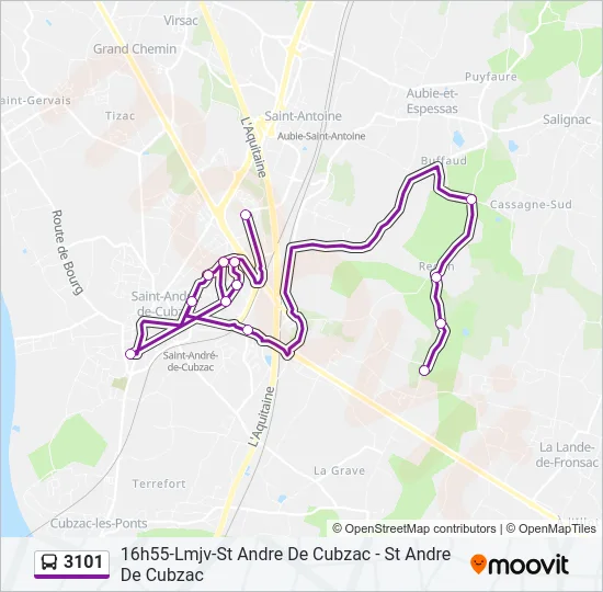 3101 Bus Line Map