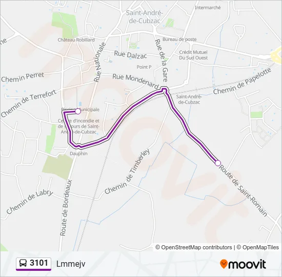 3101 Bus Line Map