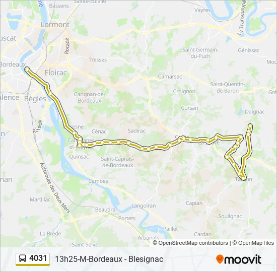 4031 Bus Line Map