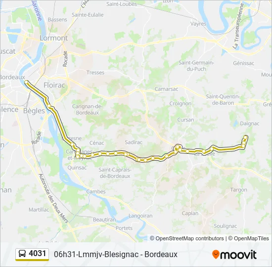 4031 Bus Line Map