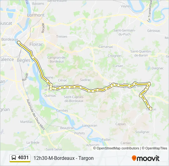 4031 Bus Line Map