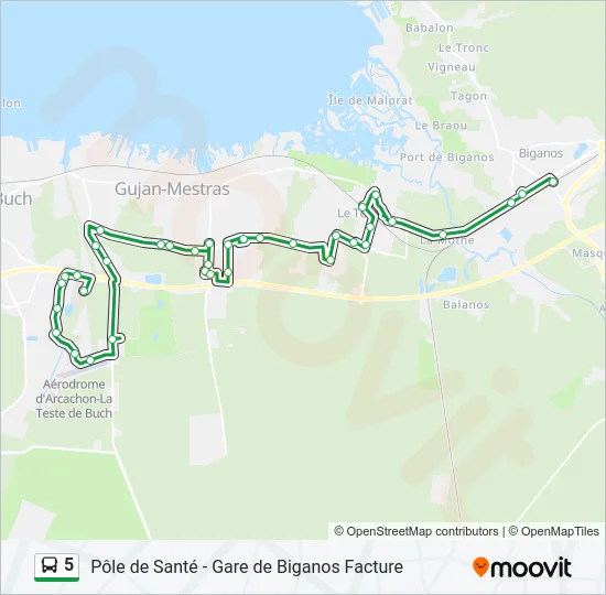 5 Bus Line Map