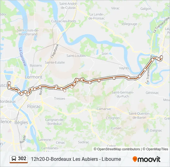 302 Bus Line Map