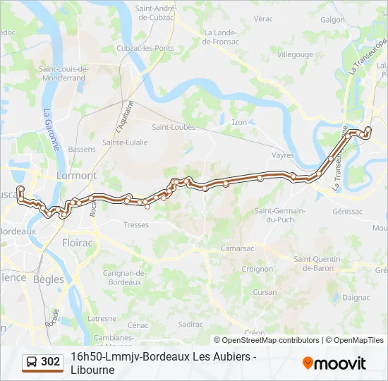 302 Bus Line Map