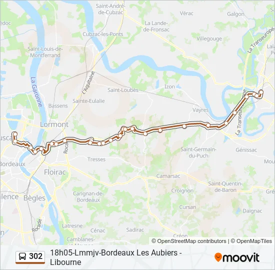 302 Bus Line Map
