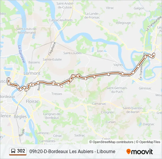 302 Bus Line Map