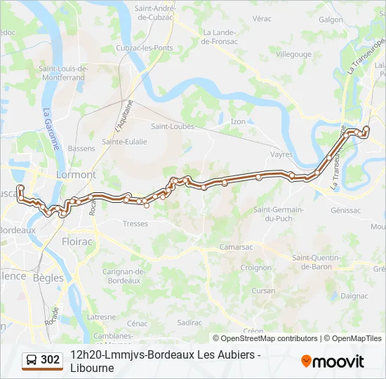 302 Bus Line Map