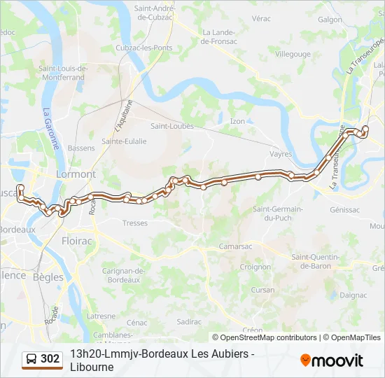 302 Bus Line Map