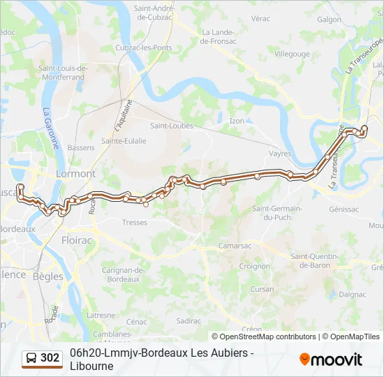 302 Bus Line Map