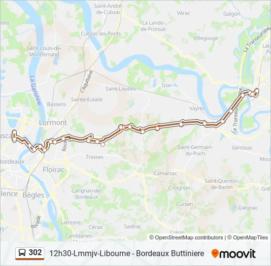 302 Bus Line Map