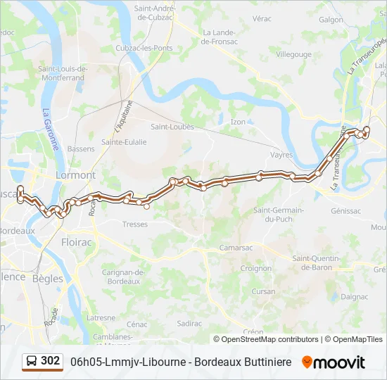 302 Bus Line Map