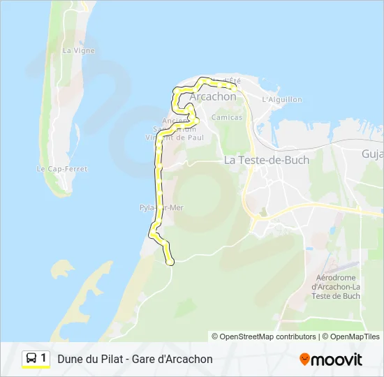 1 Bus Line Map