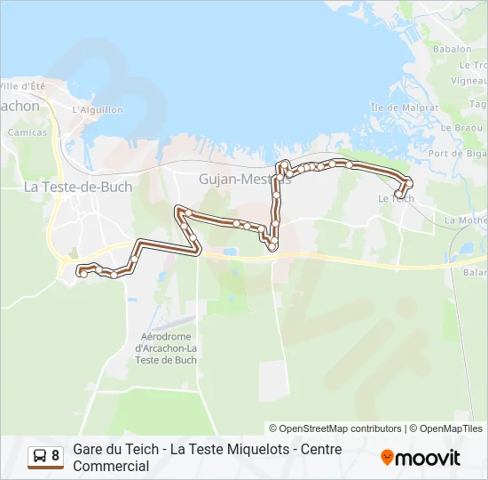 8 Bus Line Map