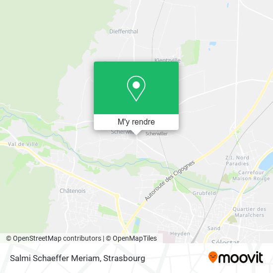 Salmi Schaeffer Meriam plan