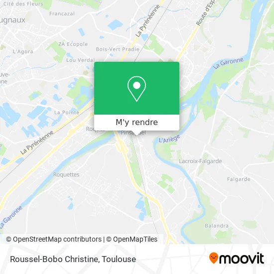 Roussel-Bobo Christine plan