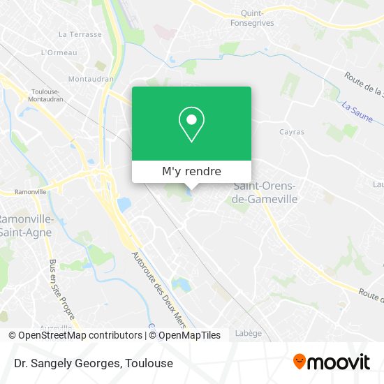 Dr. Sangely Georges plan