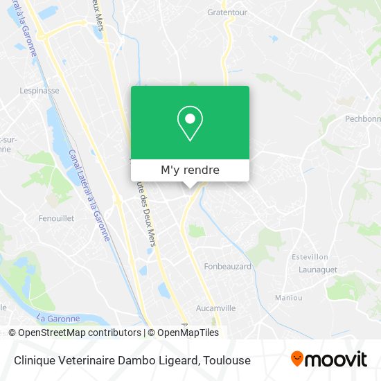 Clinique Veterinaire Dambo Ligeard plan