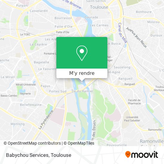 Babychou Services plan