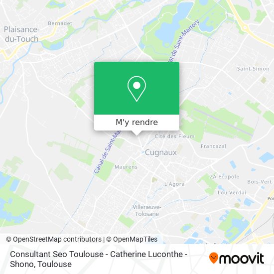 Consultant Seo Toulouse - Catherine Luconthe - Shono plan