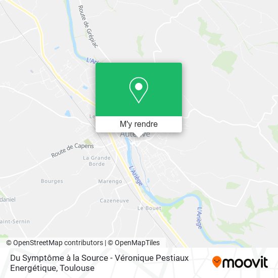Du Symptôme à la Source - Véronique Pestiaux Energétique plan