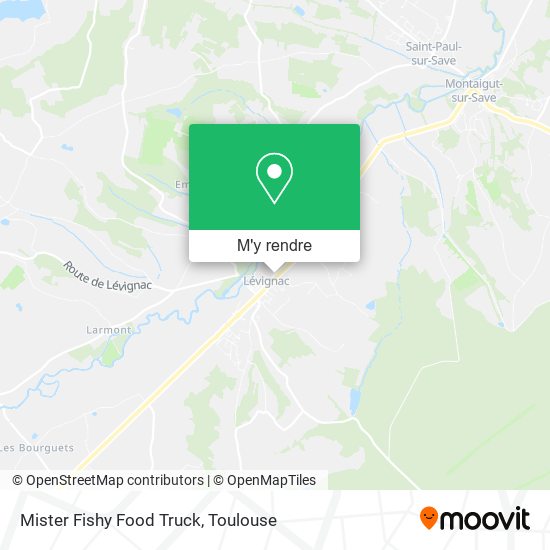 Mister Fishy Food Truck plan
