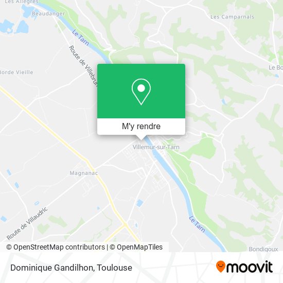 Dominique Gandilhon plan