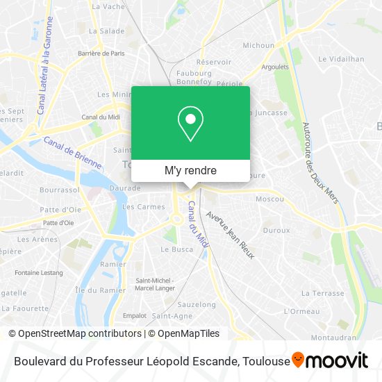 Boulevard du Professeur Léopold Escande plan