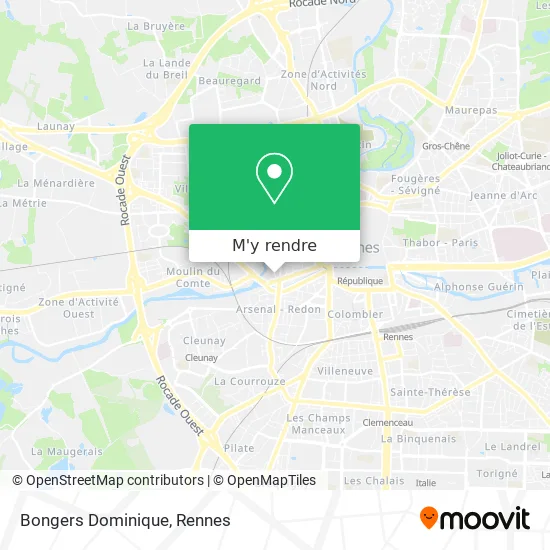 Bongers Dominique plan