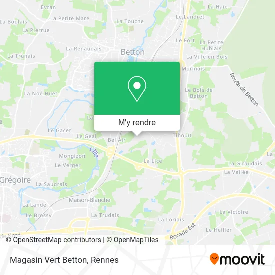 Magasin Vert Betton plan