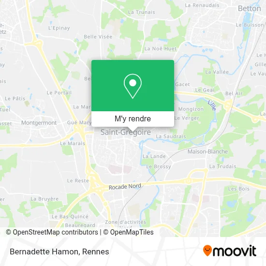 Bernadette Hamon plan