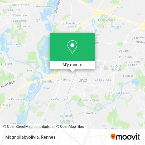 Magnoliabyolivia plan