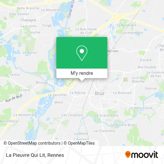 La Pieuvre Qui Lit plan