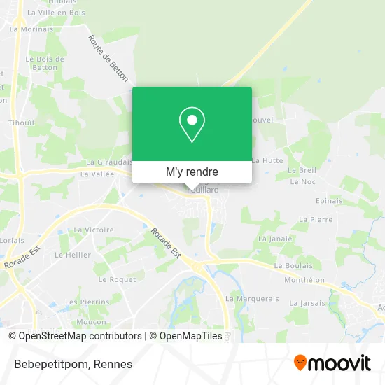 Bebepetitpom plan