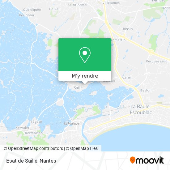 Esat de Saillé plan